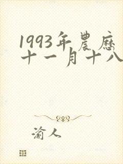 1993年农历十一月十八什么命