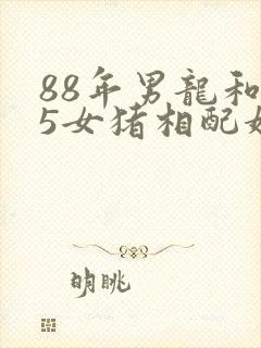88年男龙和95女猪相配婚姻如何