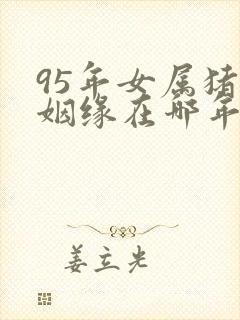 95年女属猪的姻缘在哪年