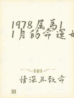 1978属马11月的命运如何封面