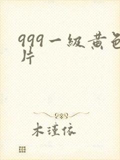999一级黄色片封面