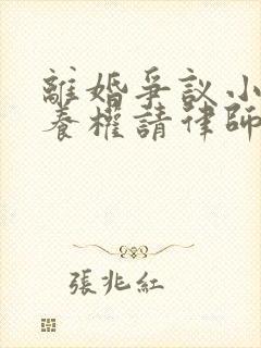 离婚争议小孩抚养权请律师要多少钱