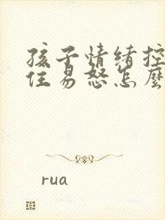 孩子情绪控制不住易怒怎么办封面