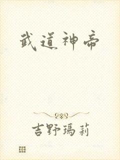 武道神帝
