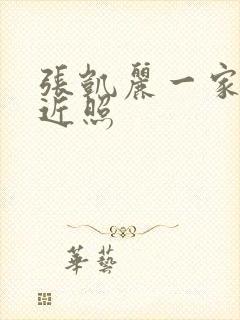 张凯丽一家三口近照封面