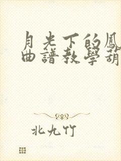 月光下的凤尾竹曲谱教学葫芦丝