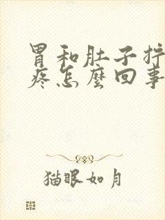 胃和肚子拧紧的疼怎么回事封面