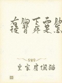 右胸下面肋骨和后背疼是怎么回事