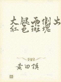 大腿两侧出现紫红色斑块封面