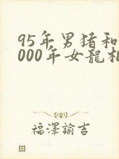 95年男猪和2000年女龙相克吗