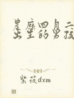 农历四月二十九出生的男孩命运如何?