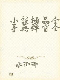 小说极品全能高手无弹窗全文免费阅读封面