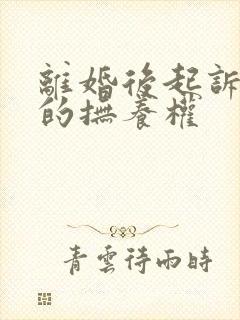 离婚后起诉孩子的抚养权封面