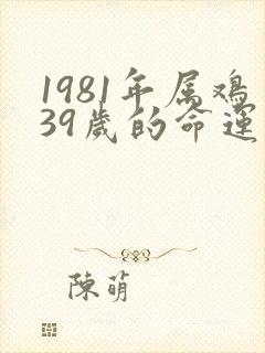 1981年属鸡39岁的命运
