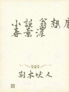 小说 翁想房中春意浓