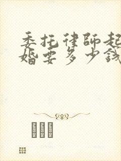 委托律师起诉离婚要多少钱封面