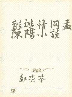 难逃情网孟婉容陈阳小说