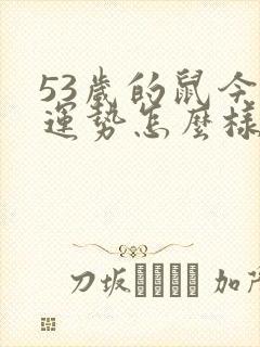 53岁的鼠今年运势怎么样