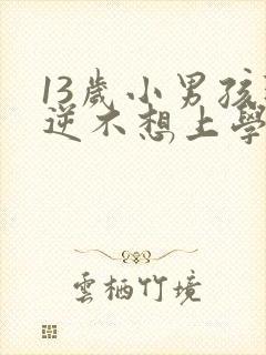 13岁小男孩叛逆不想上学怎么办封面