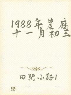1988年农历十一月初三的人是什么命