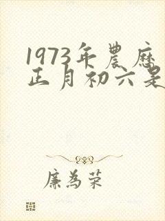1973年农历正月初六是什么命