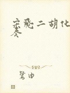 宋飞二胡化蝶独奏