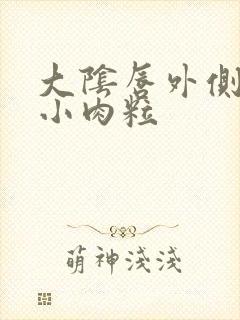 大阴唇外侧长了小肉粒