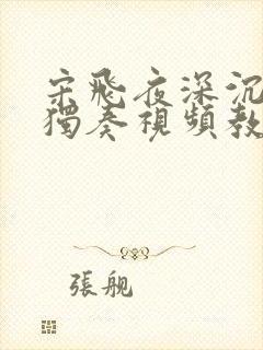 宋飞夜深沉二胡独奏视频教程