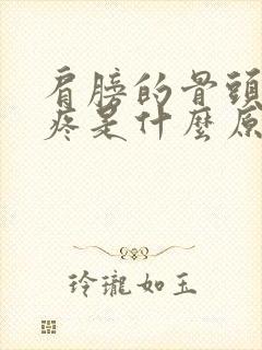 肩膀的骨头缝里疼是什么原因