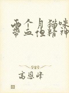 两个月猫咪拉稀带血但精神很好