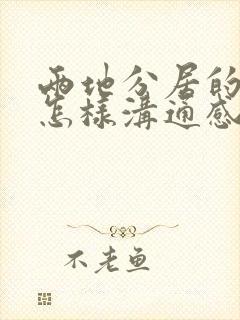 两地分居的夫妻怎样沟通感情