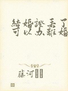 结婚证丢了一个可以办离婚手续吗