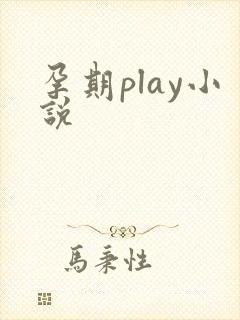 孕期play小说