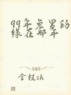 99年兔男的姻缘在哪年封面