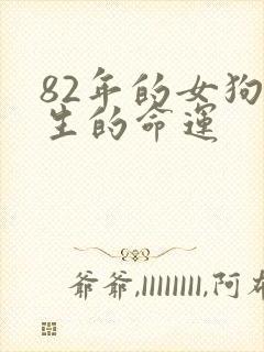 82年的女狗一生的命运封面