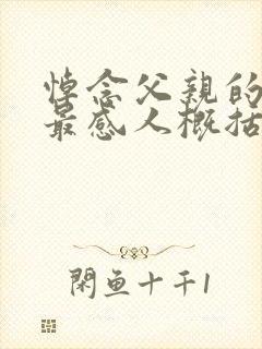 悼念父亲的悼词最感人概括一生封面