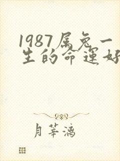 1987属兔一生的命运好不好