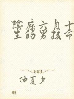 阴历六月十九出生的男孩命运