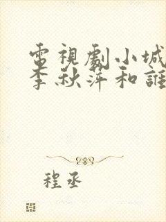 电视剧小城大事李秋萍和谁在一起了封面