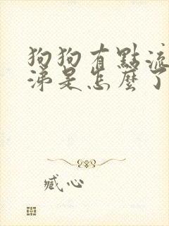 狗狗有点流清鼻涕是怎么了