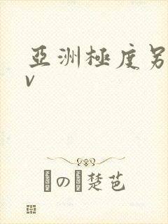 亚洲极度另类av封面