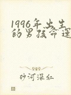 1996年出生的男孩命运