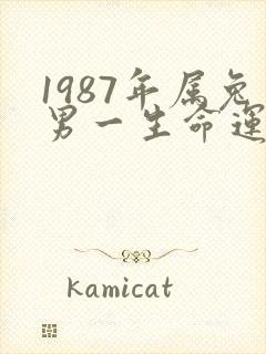 1987年属兔男一生命运及婚姻