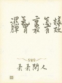 湿气重怎样调理脾胃最有效