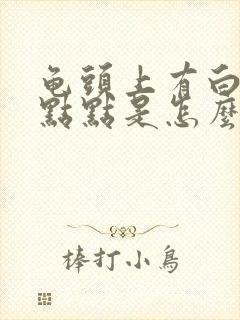 龟头上有白色的点点是怎么回事封面