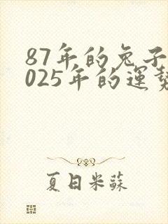 87年的兔子2025年的运势