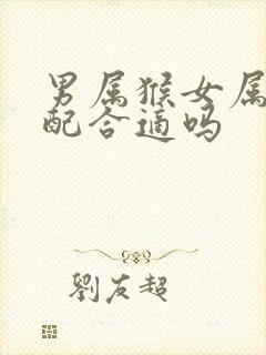 男属猴女属龙婚配合适吗