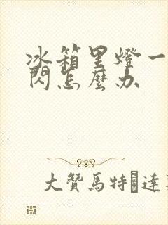 冰箱里灯一闪一闪怎么办封面