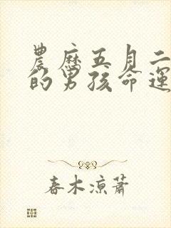 农历五月二十五的男孩命运