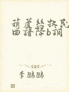 葫芦丝牧民新歌曲谱降b调